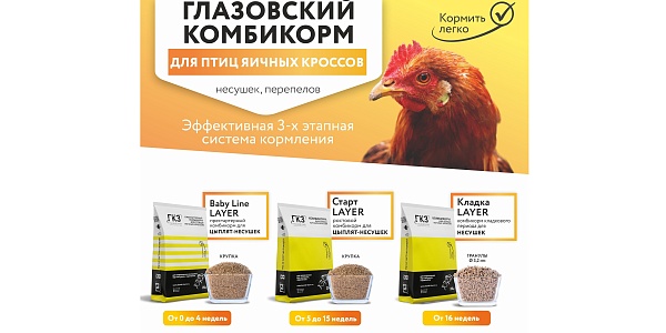 «Секрет успеха в птицеводстве: уникальная программа кормления на основе трёх продуктов».