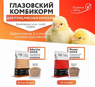 Купить комбикорм для бройлеров для домашних хозяйств Baby line chick оптом для домашних хозяйств, цены, доставка по РФ