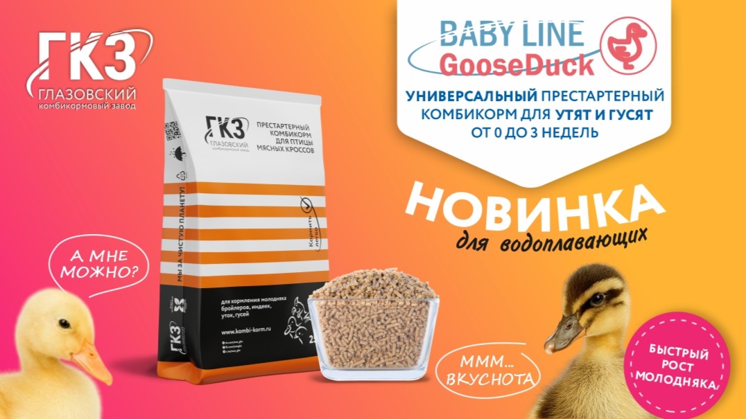 Встречайте Baby Line GooseDuck: комбикорм, который заставит ваших гусят и утят расти как на дрожжах! 