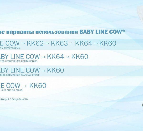 Baby Line COW