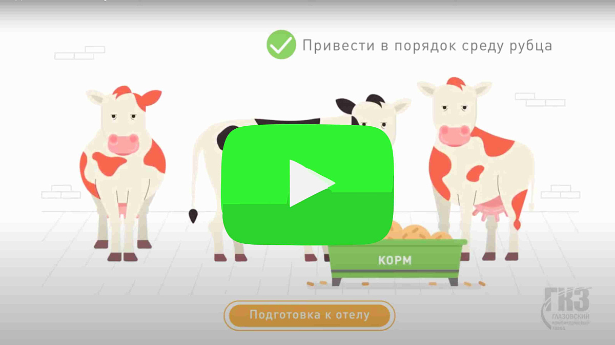 Подготовка к отелу