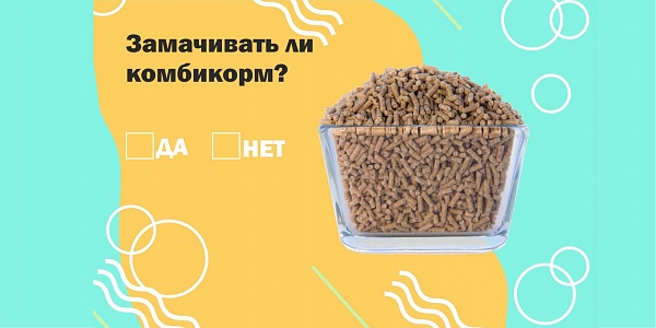 ЗАМАЧИВАТЬ ЛИ КОМБИКОРМ?