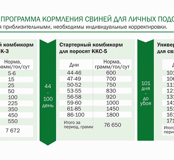 КАК ПОЛУЧИТЬ ПОРОСЕНКА ДО 9,2 КГ В 28 ДНЕЙ?