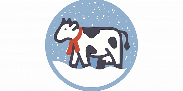 Каким должен быть зимний рацион дойных коров?