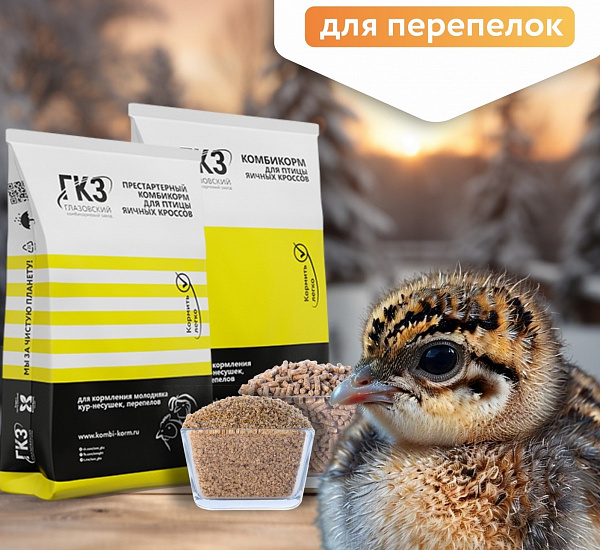 ДК-52 или Кладка LAYER?