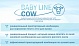 Купить престартерный комбикорм Baby line cow для телят оптом для промышленных комплексов, цены, доставка по РФ