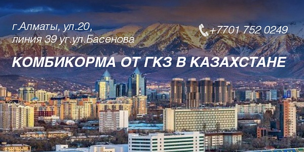 Официальный представитель ГКЗ в Казахстане