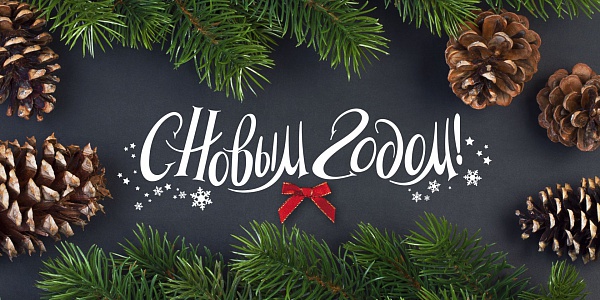С наступающим Новым Годом!