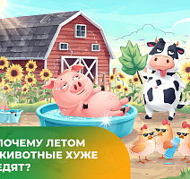 Почему летом животные хуже едят?
