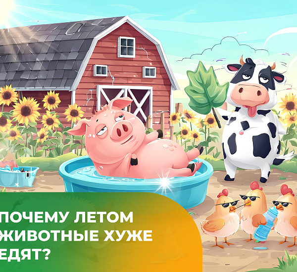 Почему летом животные хуже едят?