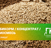 Комбикорм, концентрат и кормовая смесь: в чем разница?