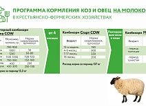 Как кормить коз и овец в условиях домашних хозяйств?