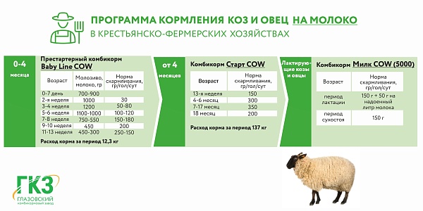 Как кормить коз и овец в условиях домашних хозяйств?