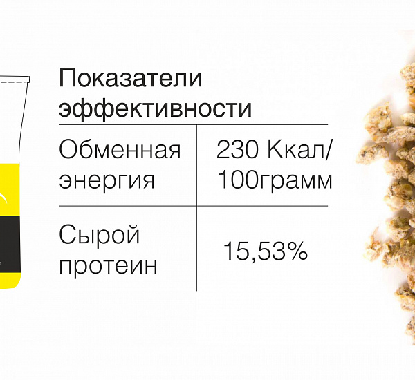 Правила содержания кур зимой